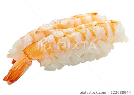 piece of nigiri sushi floating isolated background 122688944