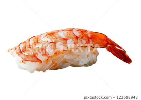 piece of nigiri sushi floating isolated background 122688948