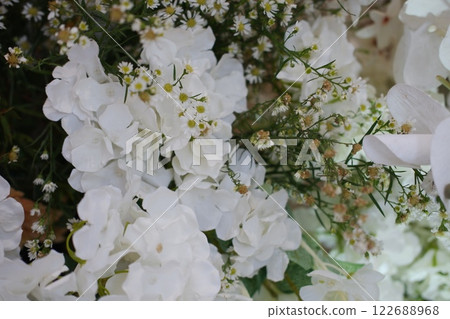 Whispers of White Blooms in Spring Whispers of White Blooms in Spring 122688968
