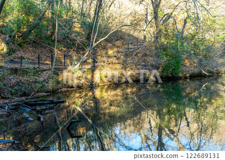 Lake landscape with fallen trees 122689131