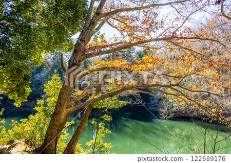 Autumn trees and lake 122689176