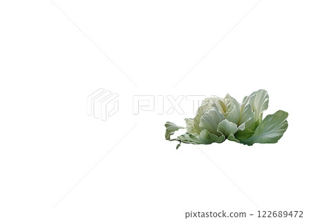 Ripe slice of Mixed vegetables floating isolated background Ripe slice of Mixed vegetables floating isolated background 122689472