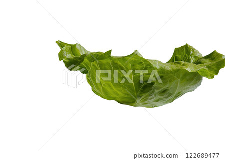 Ripe slice of Mixed vegetables floating isolated background Ripe slice of Mixed vegetables floating isolated background 122689477