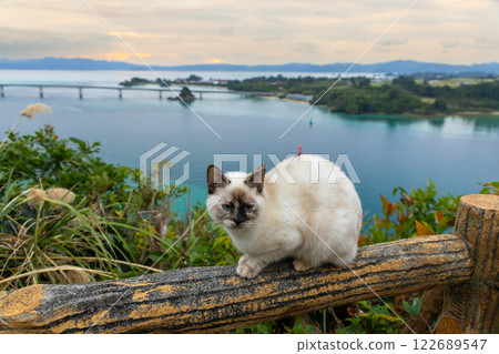 View of the Kouri Bridge, the Kouri blue sea and a cat from the Untenmorienchi Observatory in Unten, Nakijin Village, Kunigami District, Okinawa Prefecture 122689547