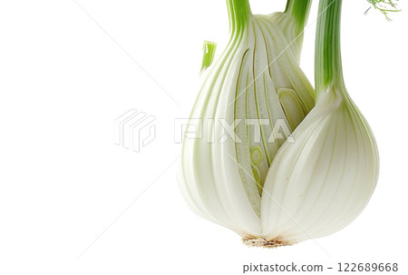 Ripe slice of Mixed vegetables floating isolated background 122689668