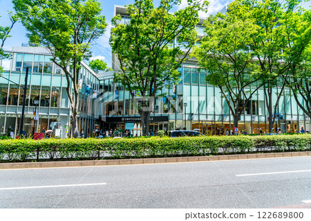 [Tokyo] The beautiful greenery around Omotesando Hills in summer 122689800