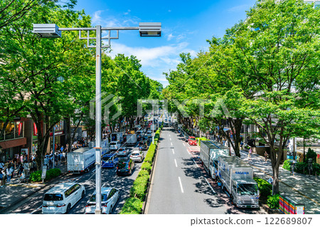 [Tokyo] Omotesando in the summer with its refreshing blue sky and impressive street trees 122689807