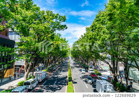 [Tokyo] Omotesando in the summer with its refreshing blue sky and impressive street trees 122689829