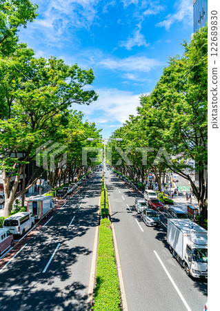 [Tokyo] Omotesando in the summer with its refreshing blue sky and impressive street trees 122689830
