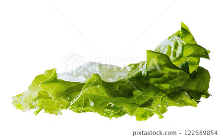 Ripe slice of Mixed vegetables floating isolated background 122689854