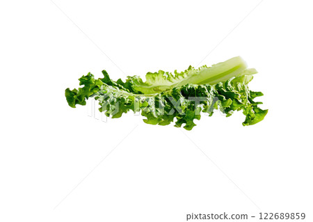 Ripe slice of Mixed vegetables floating isolated background 122689859