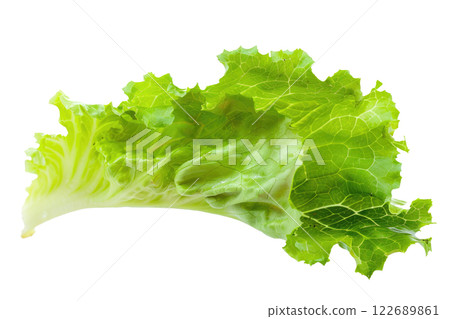 Ripe slice of Mixed vegetables floating isolated background Ripe slice of Mixed vegetables floating isolated background 122689861