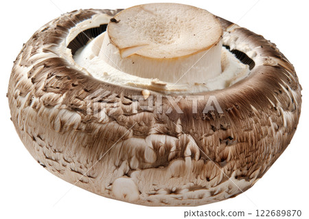 ripe slice of mushroom floating, isolated background 122689870