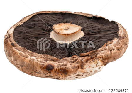 ripe slice of mushroom floating, isolated background 122689871