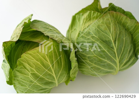 柔軟溫和的捲心菜形象 - 3:2 柔軟溫和的捲心菜形象 - 3:2 122690429