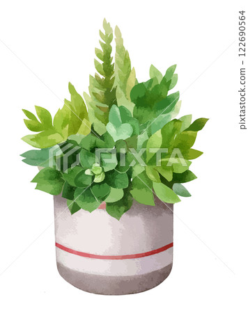 盆栽多肉植物的水彩畫。 122690564