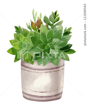 盆栽多肉植物的水彩畫。 122690565