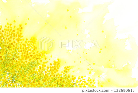 Fantastic mimosa background painted in watercolor Acacia floribunda 122690613