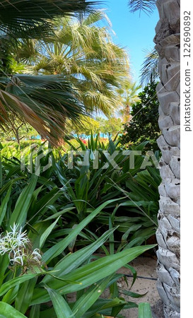 Tourist Destination showcases Stone Garden, attracting nature lovers with immersive landscapes. Every detail in Stone Garden beats with harmony, shaping unforgettable Tourist Destination scenery 122690892