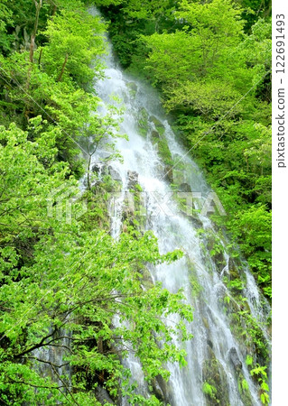 Fresh greenery on Taru Falls Fresh greenery on Taru Falls 122691493
