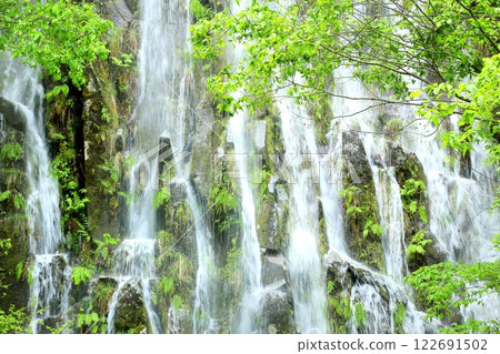 Fresh greenery on Taru Falls Fresh greenery on Taru Falls 122691502