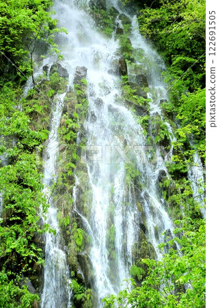Fresh greenery on Taru Falls Fresh greenery on Taru Falls 122691505