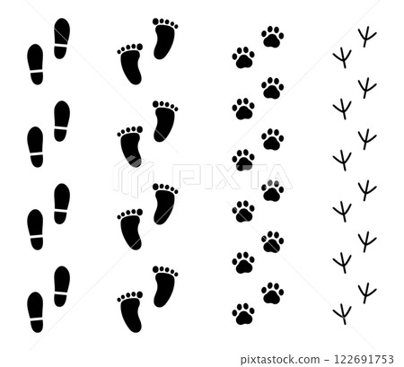 Various footprints silhouette illustrations vector 122691753