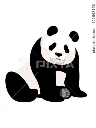 貓熊 122692168