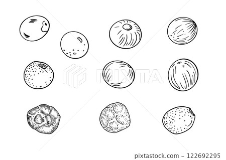 Peppercorns various black white vector illustrations. Various dried seeds, cardamom, allspice monochrome simple drawing. Black, white, red peppers in line art painted contour for menu, label. Peppercorns various black white vector illustrations. Various dried seeds, cardamom, allspice monochrome simple drawing. Black, white, red peppers in line art painted contour for menu, label. 122692295