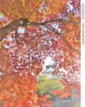 大阪城:秋葉與天守閣 大阪城:秋葉與天守閣 122692320
