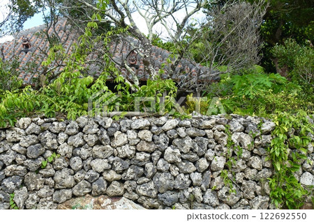 竹富島房屋的石牆和屋頂 竹富島房屋的石牆和屋頂 122692550