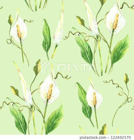 Tropic plant watercolor summer seamless pattern. Leaves and white buds, flowers. Climbing creeper plant exotic foliage, Hand drawn illustration Clipart for wallpaper on isolated pale green background Tropic plant watercolor summer seamless pattern. Leaves and white buds, flowers. Climbing creeper plant exotic foliage, Hand drawn illustration Clipart for wallpaper on isolated pale green background 122692570