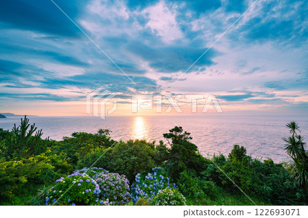 東伊豆清晨的繡球花與海上日出 122693071