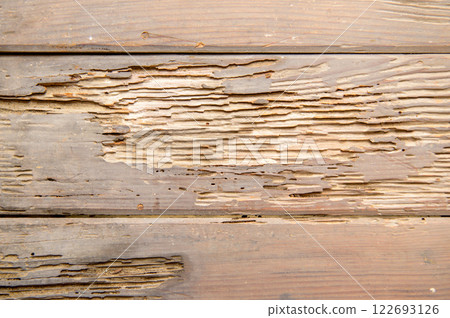 Floor of an old house damaged by termites 122693126