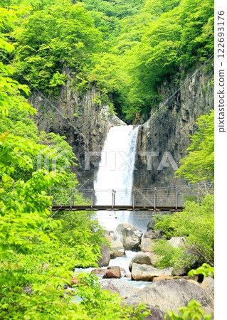 新鮮的綠苗名稱瀑布 新鮮的綠苗名稱瀑布 122693176