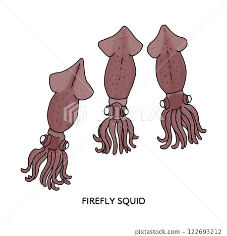 富山_螢火蟲魷魚插圖_線條畫 122693212