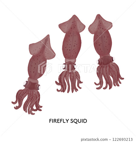 富山_螢火蟲魷魚插圖_色鉛筆畫 122693213
