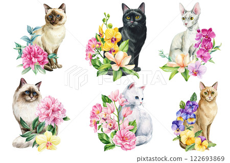 Set cat with colorful flowers watercolor illustration. Pet lovers vintage botanical art for greeting cards, home decor Set cat with colorful flowers watercolor illustration. Pet lovers vintage botanical art for greeting cards, home decor 122693869