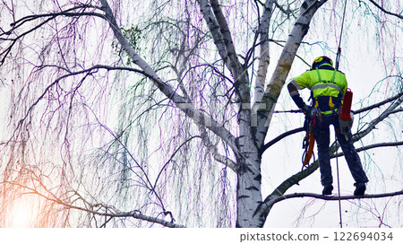 Woodcutter in uniform climbing and working on heights, process of tree trunk pruning and sawing. Woodcutter in uniform climbing and working on heights, process of tree trunk pruning and sawing. 122694034
