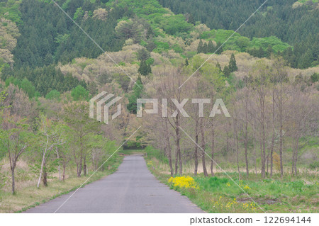 Marshland and road enveloped in the pale green of young leaves (Kirigaya Marshland: Kitahiroshima Town, Yamagata County, Hiroshima Prefecture) 122694144