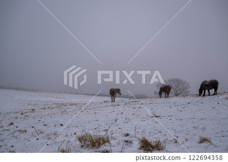 阿甦的雪景 阿甦的雪景 122694358