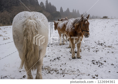 阿甦的雪景 122694361