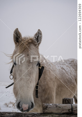 Snowy scenery of Aso Snowy scenery of Aso 122694369