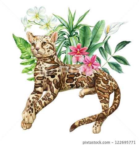 Beautiful Ocelot Resting Among Greenery, Soft Pink Flowers. Artistic Watercolor Painting of Wild Jungle Cats, animal art Beautiful Ocelot Resting Among Greenery, Soft Pink Flowers. Artistic Watercolor Painting of Wild Jungle Cats, animal art 122695771