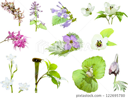 春季花卉插圖素材集（野花 3） 122695780