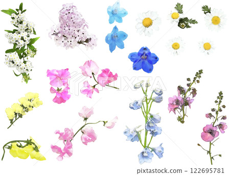 春季花卉插圖素材集1 122695781