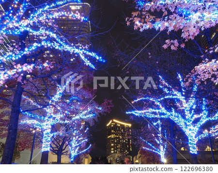 Kanagawa Prefecture, Grand Mall Park illuminations and The Tower Yokohama Kitanaka, December 122696380