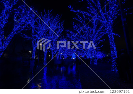 Blue Illumination 122697191