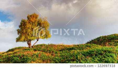 Thick fog on the mountain pass Goulet. Georgia, Svaneti. Caucasus mountains 122697318