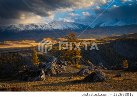 Golden autumn trees and snowy mountains under dramatic cloudy skies 122698012